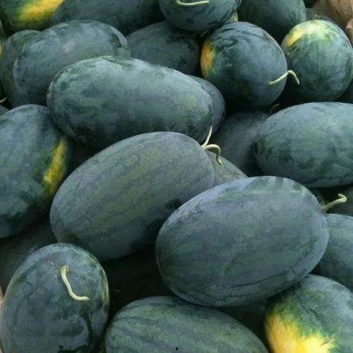 吃瓜曝光黑料55fun