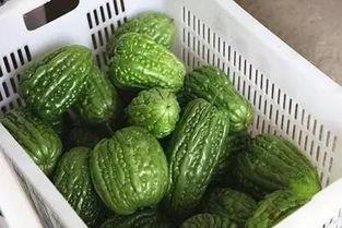 166今日黑瓜吃料A,吃料A深度解析，揭秘热点背后的真相